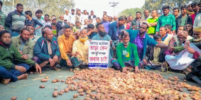বীরগঞ্জে মহাসড়কে আলু ঢেলে চাষিদের বিক্ষোভ