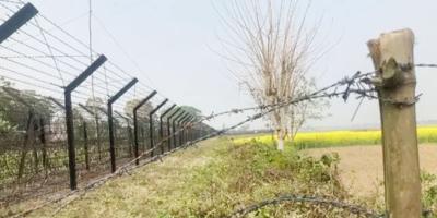 ফুলবাড়ীতে ৫ কৃষককে পেটালো বিএসএফ