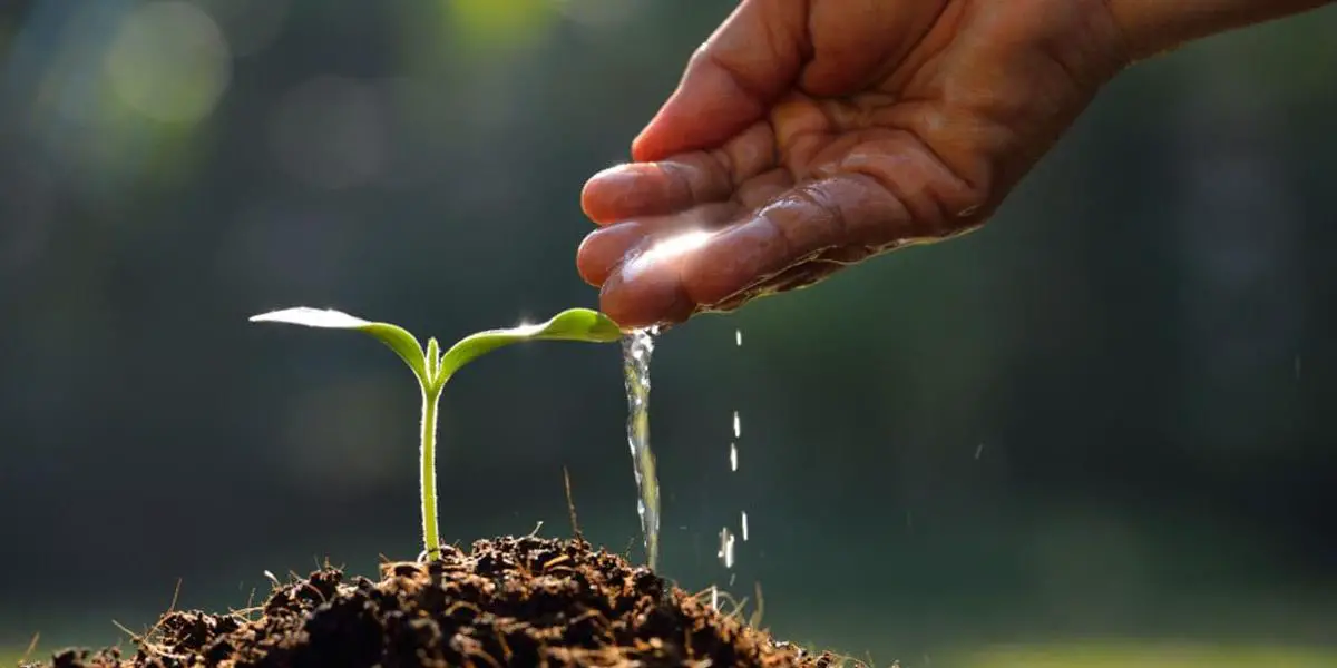 মৃত্যুর পরও যেসব আমলের সওয়াব পাওয়া যায়