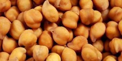 ছোলার প্রচুর আমদানি, দামও কমেছে