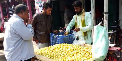 চাহিদা বেড়েছে বল সুন্দরী বরইয়ের