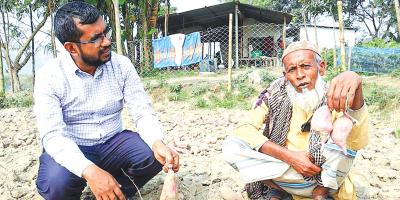 উচ্চফলনশীল বাউ মিষ্টিআলু-৫ উদ্ভাবন