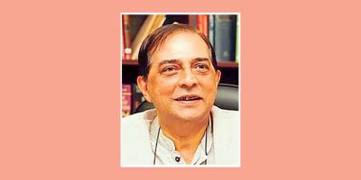 আমি তো কোনো ফাটল দেখছি না: ড. শাহদীন মালিক