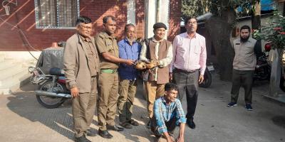 সিলেটে বালিহাঁস বিক্রির দায়ে শিকারি কারাগারে