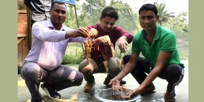 কুড়িগ্রামে সমন্বিত মাছ চাষে সম্ভাবনা দেখছেন চাষিরা