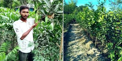 নার্সারি ব্যবসায় সচল হচ্ছে গ্রামীণ অর্থনীতি