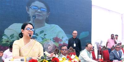 পরিবেশের সুরক্ষা ছাড়া টেকসই উন্নয়ন সম্ভব নয়: পরিবেশ উপদেষ্টা