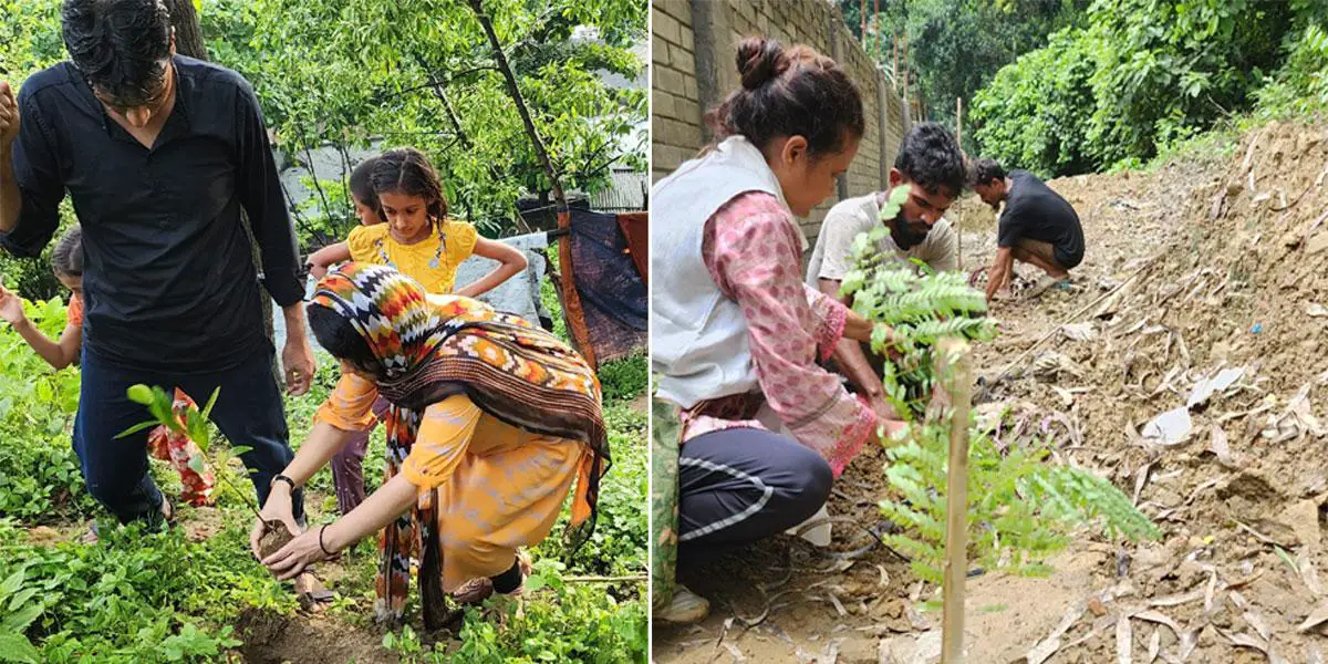 এক যুগ ধরে গাছ লাগাচ্ছেন রীতু-সুফিয়ান দম্পতি