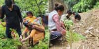 এক যুগ ধরে গাছ লাগাচ্ছেন রীতু-সুফিয়ান দম্পতি