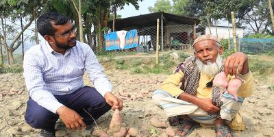 মিষ্টি আলুর নতুন জাত নিয়ে সফল বাকৃবির গবেষক দল