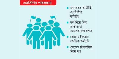 তিন মাসে দল গোছানোর পরিকল্পনা এনসিপির