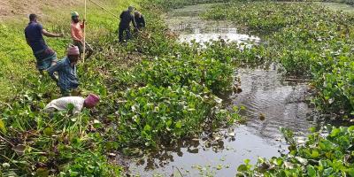 প্রাণ ফিরেছে গিমাডাঙ্গা-টুঙ্গিপাড়া খালের