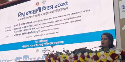 বনভূমি ও বন্যপ্রাণী সুরক্ষায় জনসচেতনতা বাড়ানো জরুরি: পরিবেশ উপদেষ্টা