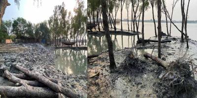 খোলপেটুয়া নদীর চর দখল, প্রাকৃতিক বন কেটে উজাড়