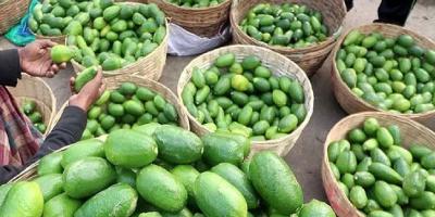 আখাউড়ায় লেবুর হালি ১২০ টাকা!