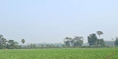 আবহাওয়ার পূর্বাভাস: কমতে পারে তাপমাত্রা