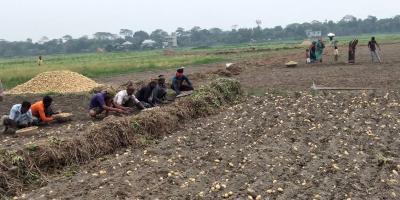 মুন্সীগঞ্জে আলু পরিবহনে আধিপত্য বিস্তার নিয়ে গোলাগুলি