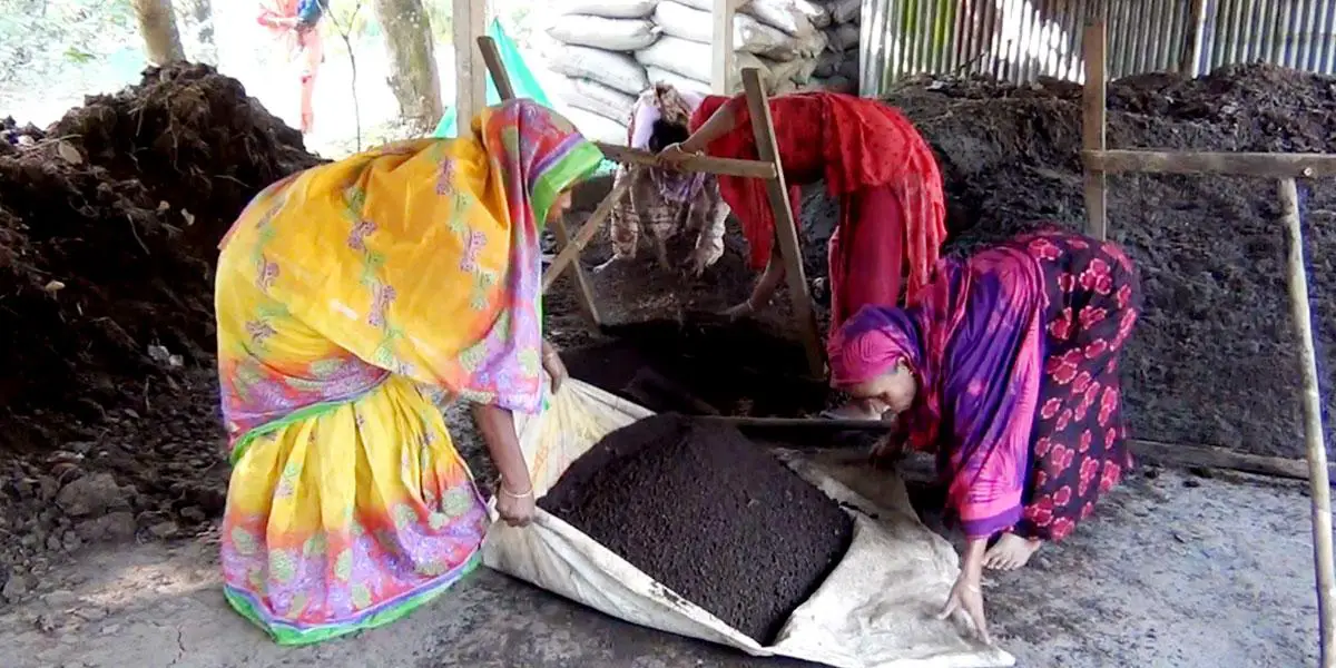 সফল কৃষি উদ্যোক্তা নরসিংদীর কাইয়ুম