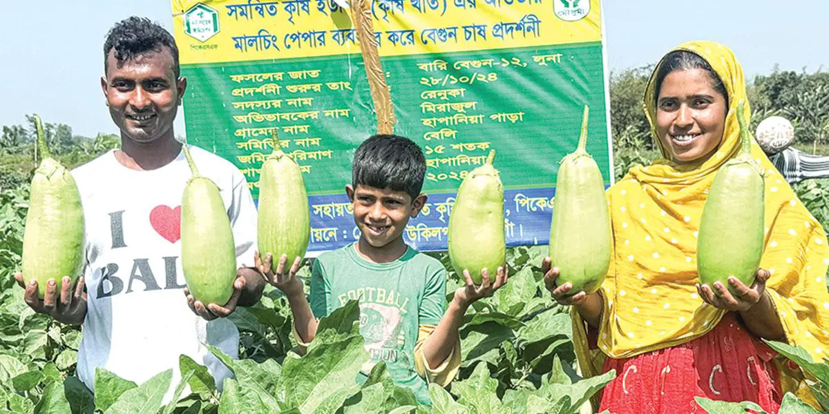 সাড়া ফেলেছে নতুন জাতের ‘লাউ বেগুন’