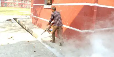 রাজশাহী নগরে চারদিকে শুধু মশা আর মশা