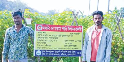 মালচিং পদ্ধতিতে শসা চাষে দুই বন্ধুর সাফল্য