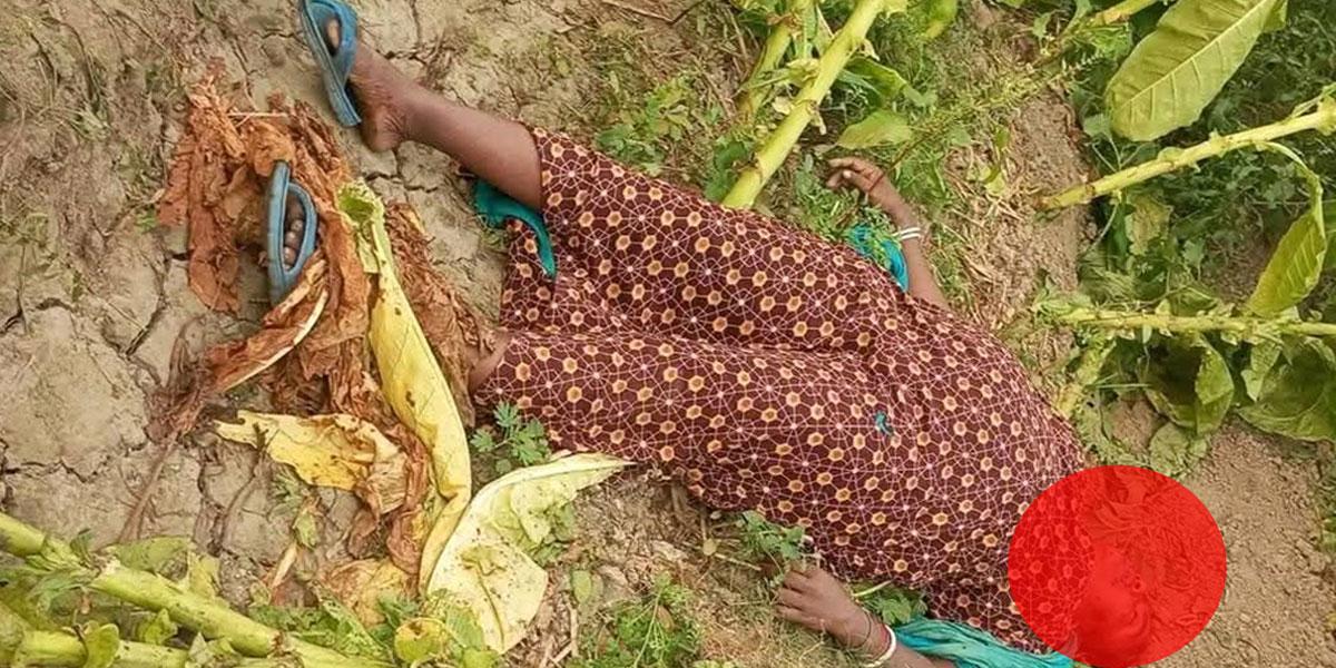 কুষ্টিয়ায় তামাক খেত থেকে নারীর মরদেহ উদ্ধার