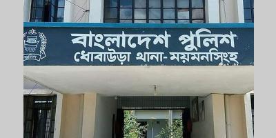 ময়মনসিংহে পুকুরে ডুবে প্রাণ গেল ভাই-বোনের