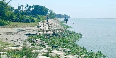 হাইমচরে হুমকির মুখে মেঘনা নদীরক্ষা বাঁধ