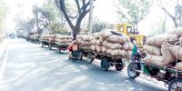 আলুর দাম কম, হিমাগারে ব্যবসায়ীর ভিড়