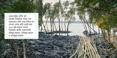 সাতক্ষীরার খোলপেটুয়া উপকূলে চর দখল, বন কেটে উজাড়