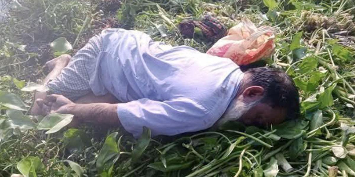 ঝিনাইদহে বিল থেকে বৃদ্ধের মরদেহ উদ্ধার