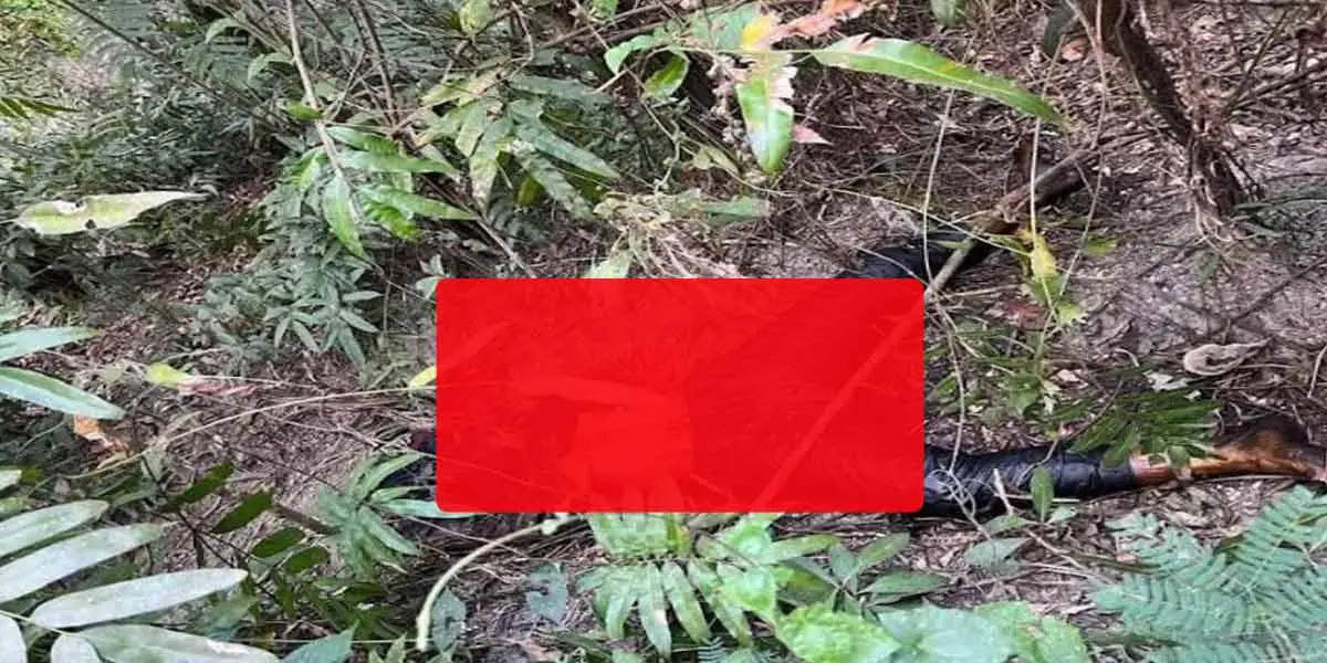 পিরোজপুরে গলাকাটা অর্ধগলিত অজ্ঞাত নারীর মরদেহ উদ্ধার