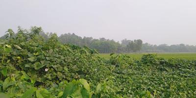 শুক্রবারের আবহাওয়ার পূর্বাভাস