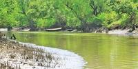সৌন্দর্যের লীলাভূমি টেংরাগিরি ইকোপার্ক