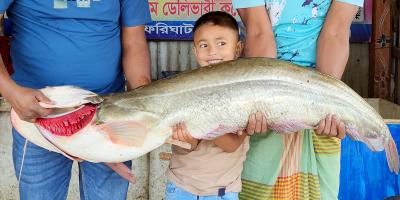 গোয়ালন্দে পদ্মার ১৩ কেজির বোয়াল ৩৪ হাজারে বিক্রি