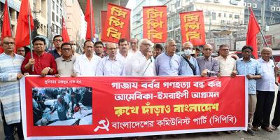 ইসরায়েলি হামলায় সরকারের প্রতিবাদ দায়সারা: প্রিন্স