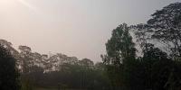 রাজশাহীতে ৩ দিন ধরে সূর্যের দেখা নেই, আজ আকাশ মেঘলা