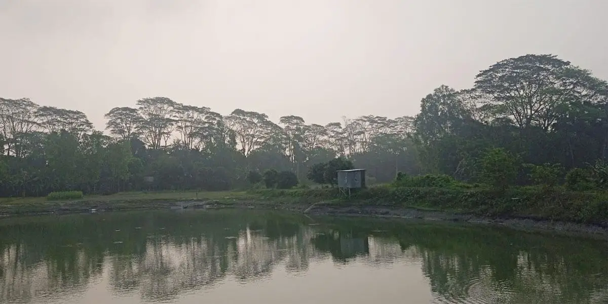 সারা দেশে বৃষ্টির সম্ভাবনা