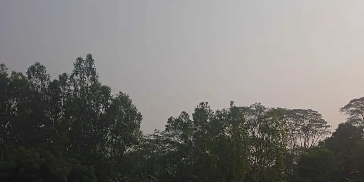আবহাওয়ার পূর্বাভাস: বৃষ্টি হতে পারে ৩ বিভাগে