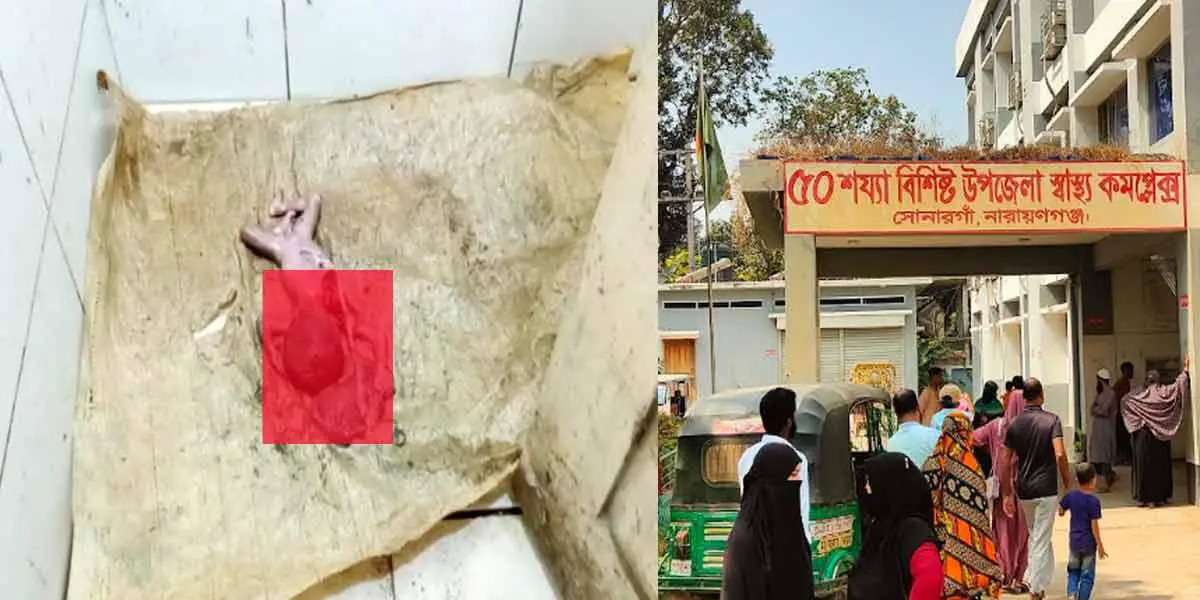 সোনারগাঁ স্বাস্থ্য কমপ্লেক্সের টয়লেটের পাইপ থেকে নবজাতকের মরদেহ উদ্ধার