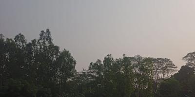 আবহাওয়ার পূর্বাভাস: বৃষ্টি হতে পারে ৩ বিভাগে