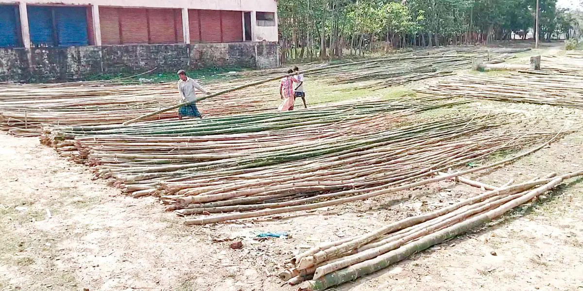 হাওরপাড়ে শতবর্ষী বাঁশের হাট
