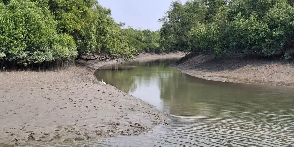 মুক্তিপণ পরিশোধের ৫ দিন পরও বাড়ি ফেরেনি অপহৃত ২ জেলে