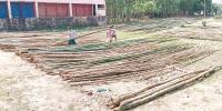 হাওরপাড়ে শতবর্ষী বাঁশের হাট