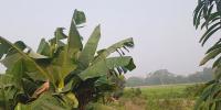 মঙ্গলবারের আবহাওয়ার পূর্বাভাস