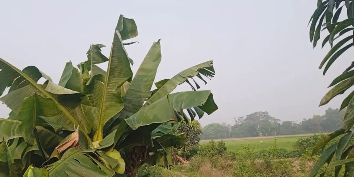 মঙ্গলবারের আবহাওয়ার পূর্বাভাস