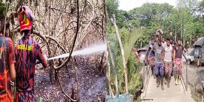 সুন্দরবনের আগুন সম্পূর্ণ নিয়ন্ত্রণে