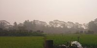 যেমন থাকবে শুক্রবারের আবহাওয়া