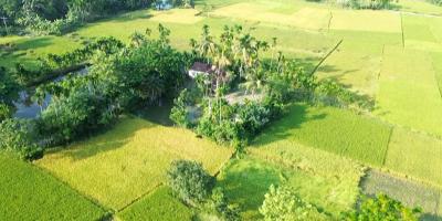 বিক্রি হলো এক বাড়ি নিয়ে বানানো গ্রাম