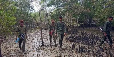 ঈদে সুন্দরবনে বাড়তি সতর্কতায় বনকর্মীদের ছুটি বাতিল